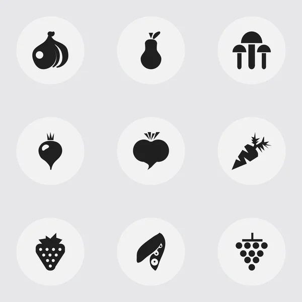 Set de 9 iconos de bayas editables. Incluye símbolos como la raíz vegetal, nabo, racimo y más. Puede ser utilizado para el diseño de la tela, móvil, interfaz de usuario e infografía . — Vector de stock