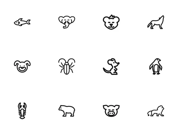 Conjunto de 12 iconos de contorno del zoológico editables. Incluye símbolos como puma, gato salvaje, lobo y más. Puede ser utilizado para el diseño de la tela, móvil, interfaz de usuario e infografía . — Vector de stock