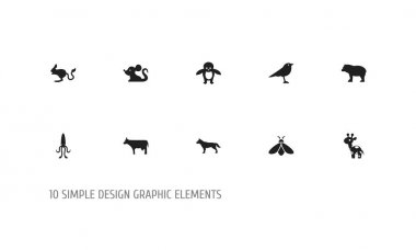 10 düzenlenebilir Hayvanat Bahçesi simgeler kümesi. Panda, köpek, Catbird gibi simgeler içerir. Web, mobil, UI ve Infographic tasarımı için kullanılabilir.