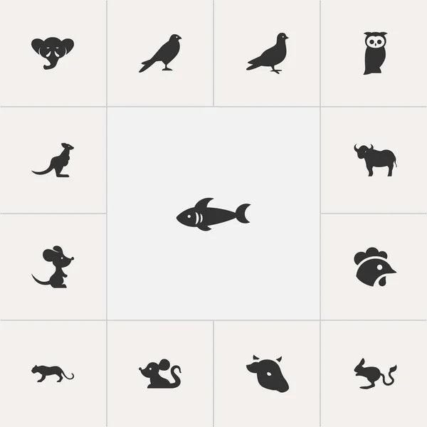Set de 13 iconos editables de Zoología. Incluye símbolos como el ratón, lince, probóscis y más. Puede ser utilizado para el diseño de la tela, móvil, interfaz de usuario e infografía . — Archivo Imágenes Vectoriales