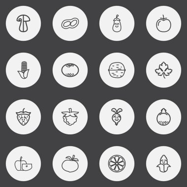 16 düzenlenebilir gıda anahat simgeleri ayarlayın. Nar, greyfurt, mantar ve daha fazlası gibi simgeler içerir. Web, mobil, UI ve Infographic tasarımı için kullanılabilir.