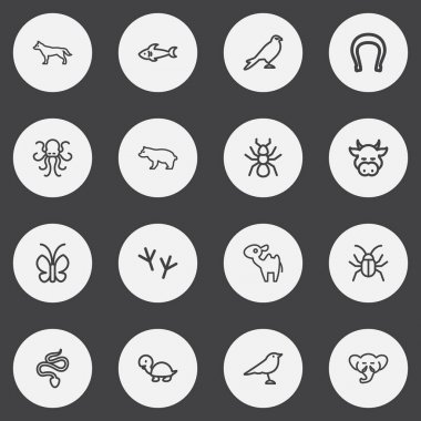 16 düzenlenebilir Hayvanat Bahçesi anahat simgeleri ayarlayın. Poulpe, hortum, kelebek ve daha fazlası gibi simgeler içerir. Web, mobil, UI ve Infographic tasarımı için kullanılabilir.