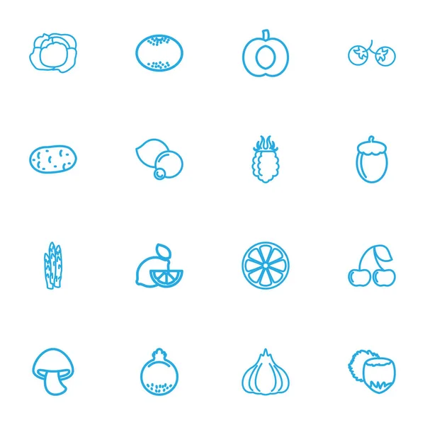 Conjunto de 16 iconos de contorno de utensilios de cocina editables. Incluye símbolos como limón, cítricos en rodajas, papa y más. Puede ser utilizado para el diseño de la tela, móvil, interfaz de usuario e infografía . — Vector de stock