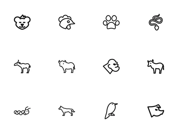 Conjunto de 12 iconos del esquema de Zoología Editable. Incluye símbolos como Philomel, canino, puma y más. Puede ser utilizado para el diseño de la tela, móvil, interfaz de usuario e infografía . — Archivo Imágenes Vectoriales