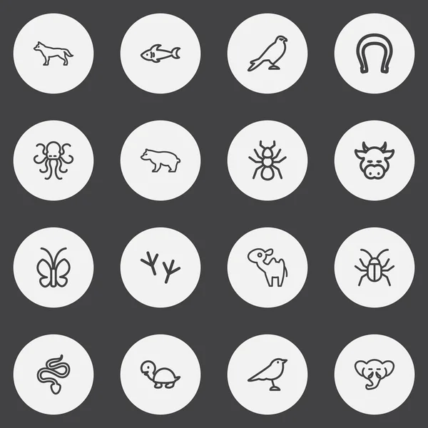 Conjunto de 16 iconos de contorno del zoológico editables. Incluye símbolos como Poulpe, Proboscis, Mariposa y más. Puede ser utilizado para el diseño de la tela, móvil, interfaz de usuario e infografía . — Archivo Imágenes Vectoriales