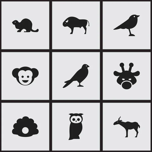 Set de 9 iconos editables del zoológico. Incluye símbolos como caracola, Camelopard, gacela y más. Puede ser utilizado para el diseño de la tela, móvil, interfaz de usuario e infografía . — Archivo Imágenes Vectoriales