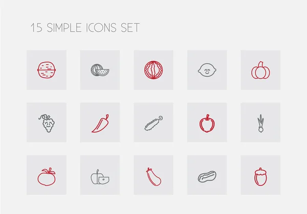 Uppsättning av 15 redigerbara köksutrustning disposition ikoner. Innehåller symboler som Acorn, jordnöt, pumpa och mer. Kan användas för webb-, mobil-, Ui- och Infographic Design. — Stock vektor