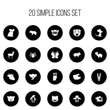 20 düzenlenebilir hayvan simgeler kümesi. Penguen, güve, gece kümes hayvanı ve daha fazlası gibi simgeler içerir. Web, mobil, UI ve Infographic tasarımı için kullanılabilir.
