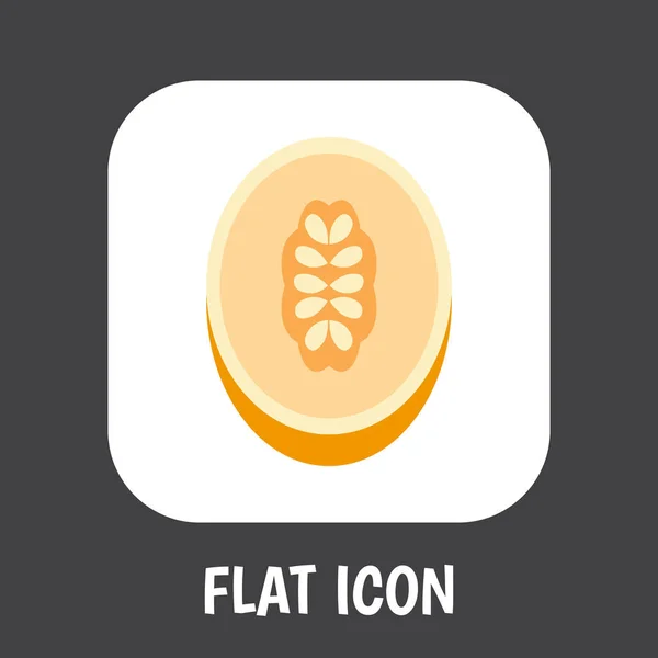 Vector Illustration Of Fruits Symbol On Melon Flat Icon. Premium Quality Isolated Watermelon  Element In Trendy Flat Style. — Stock Vector