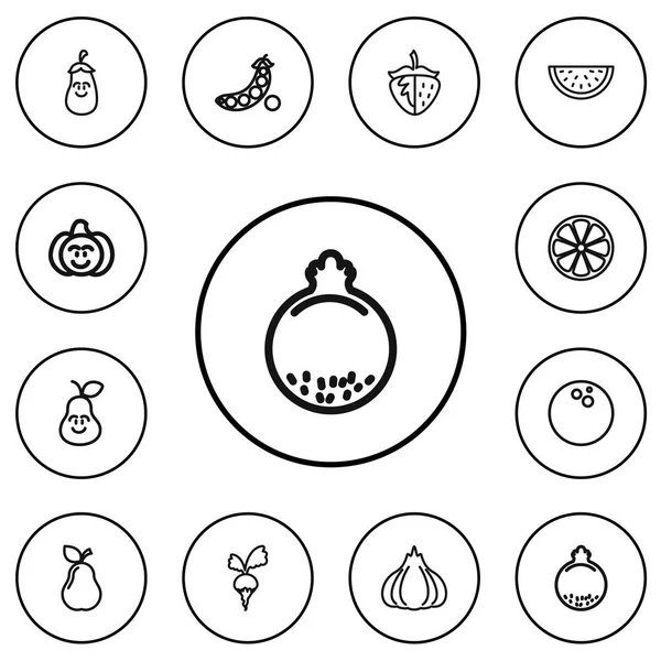 Satz von 12 editierbaren Lebensmittelsymbolen. enthält Symbole wie Kokos, aufgeschnittene Zitrusfrüchte, Granatapfel und mehr. kann für Web-, Mobil-, UI- und Infografik-Design verwendet werden. — Stockvektor