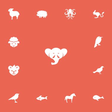 13 düzenlenebilir Hayvanat Bahçesi simgeler kümesi. Deniz avcı, çöl kemirgen, kirpi ve daha fazlası gibi simgeler içerir. Web, mobil, UI ve Infographic tasarım için kullanılabilir.