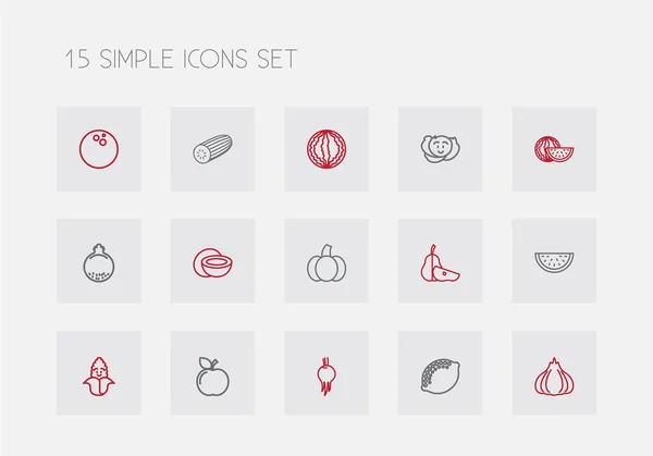 Uppsättning av 15 redigerbara köksutrustning ikoner linjeformat. Innehåller symboler som till exempel granatäpple, cocos, citron och mycket mer. Kan användas för webb-, mobil-, Ui och infographic design. — Stock vektor
