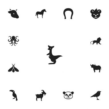 13 düzenlenebilir hayvan simgeler kümesi. Panda, aslan, arı gibi simgeler içerir. Web, mobil, UI ve Infographic tasarım için kullanılabilir.