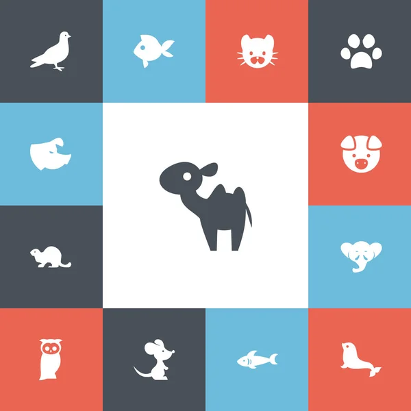 Set di 13 icone dello zoo modificabili. Include simboli come sigillo, castoro, gatto selvatico e altro ancora. Può essere utilizzato per la progettazione web, mobile, UI e infografica . — Vettoriale Stock