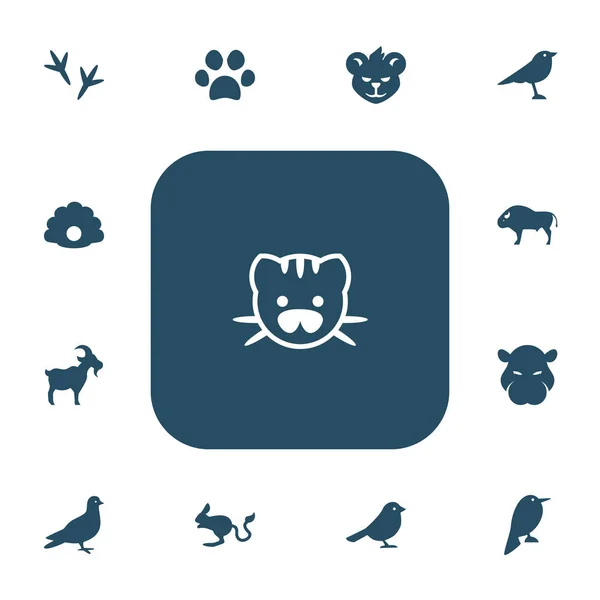 Conjunto de 13 iconos editables del zoológico. Incluye símbolos como patas de pollo, hipopótamo, pata de gato y más. Se puede utilizar para diseño web, móvil, IU e infografía . — Vector de stock