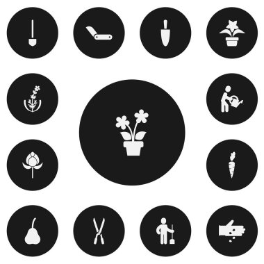 13 düzenlenebilir dikim simgeler kümesi. Armut, kürek, sulama kova ve daha fazla olan adam gibi simgeler içerir. Web, mobil, UI ve Infographic tasarım için kullanılabilir.