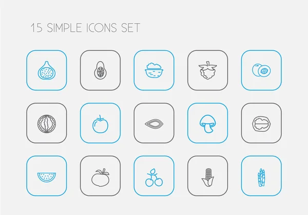 Sada 15 styl čáry lze upravovat potraviny ikony. Obsahuje symboly jako Malina, mandlovníky, fíkovníky a další. Lze použít pro webové, mobilní, Ui a infografika design. — Stockový vektor