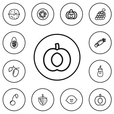 12 düzenlenebilir gıda simgeler çizgi stili kümesi. Tatlı meyve, kızamık, nektarin ve daha fazlası gibi simgeler içerir. Web, mobil, UI ve Infographic tasarım için kullanılabilir.