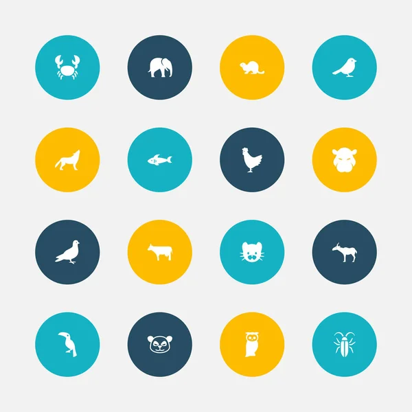 Conjunto de 16 iconos editables del zoológico. Incluye símbolos como depredador marino, elefante, aves nocturnas y más. Se puede utilizar para diseño web, móvil, IU e infografía . — Archivo Imágenes Vectoriales