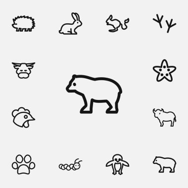12 düzenlenebilir hayvan simgeleri çizgi stili kümesi. Boğa, pençe, deniz yıldızı ve daha fazlası gibi simgeler içerir. Web, mobil, UI ve Infographic tasarım için kullanılabilir.