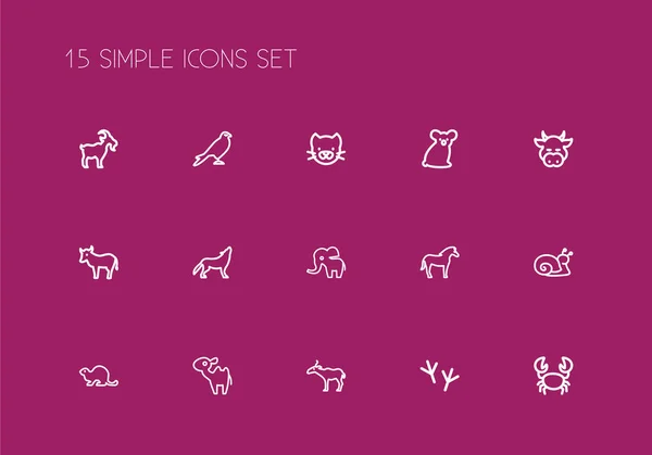 Sada 15 upravitelné zvířecí ikony styl čáry. Obsahuje symboly jako hřebec, dobytek, Šnek a další. Lze použít pro webové, mobilní, Ui a infografika design. — Stockový vektor