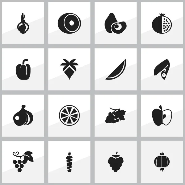 Conjunto de 16 iconos de bayas editables. Incluye símbolos como lima, raíz vegetal, melón y más. Se puede utilizar para diseño web, móvil, IU e infografía . — Vector de stock