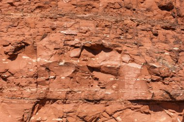 Kırmızı kumtaşı doku