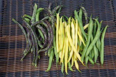 Homegrown yeşil kuru fasulye