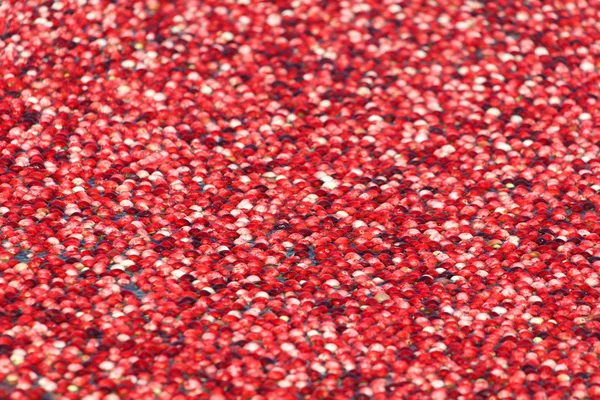 Vörös áfonya betakarítás — Stock Fotó