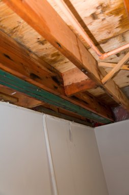 Tavan sızıntı suyu