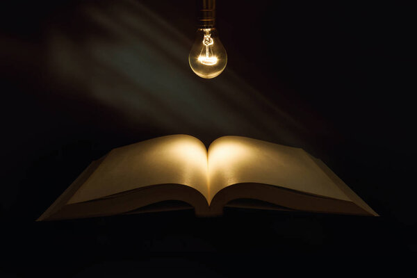 Book and light bulb, business education concept.