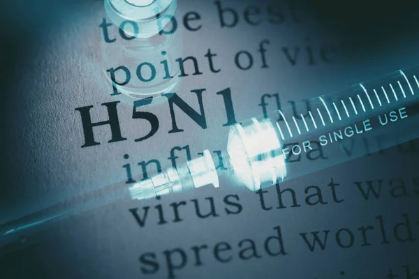 Word H5N1 flu and syringe — Stock Photo, Image