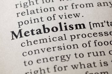 metabolizma tanımı