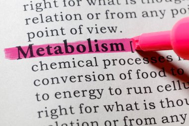 metabolizma tanımı