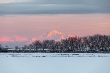 MT baker günbatımı