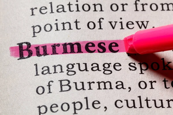 Definição de birmanês — Fotografia de Stock