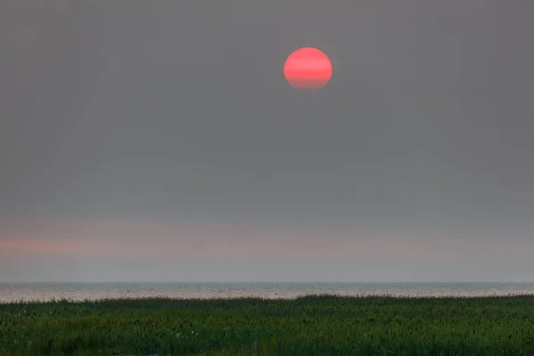 Röd solnedgång i ett töcken — Stockfoto