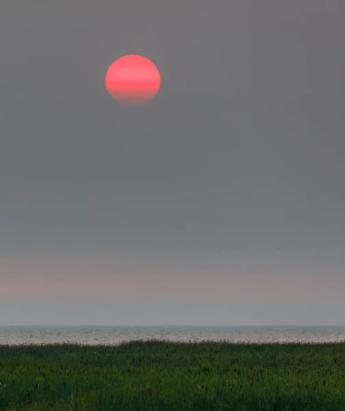 Bir sis içinde kırmızı günbatımı — Stok fotoğraf