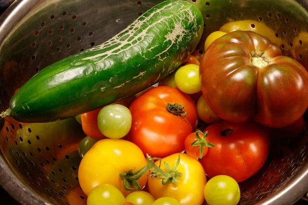 Kleurrijke najaar groenten — Stockfoto