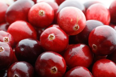 Kırmızı taze çiğ kızılcık. BC Kanada üretmek