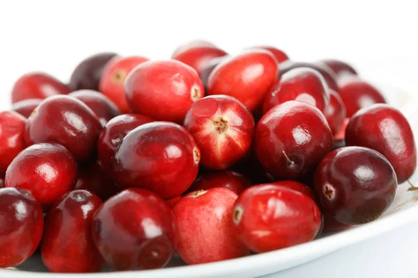 Rode Verse Rauwe Cranberry Produceren Bij Canada — Stockfoto