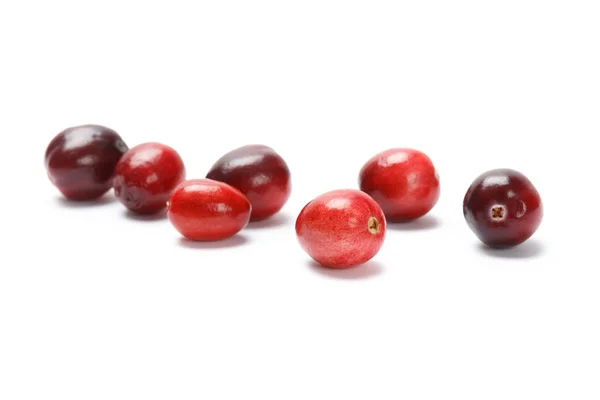 Rode Verse Rauwe Cranberry Geïsoleerd Een Witte Achtergrond Produceren Bij — Stockfoto