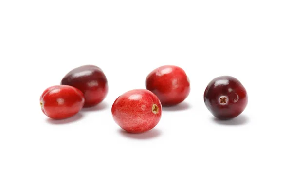 Rode Verse Rauwe Cranberry Geïsoleerd Een Witte Achtergrond Produceren Bij — Stockfoto