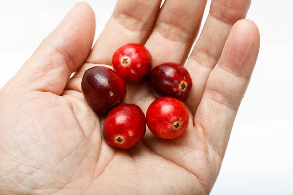 Mirtillo Rosso Fresco Crudo Isolato Sfondo Bianco Prodotti Canada — Foto Stock