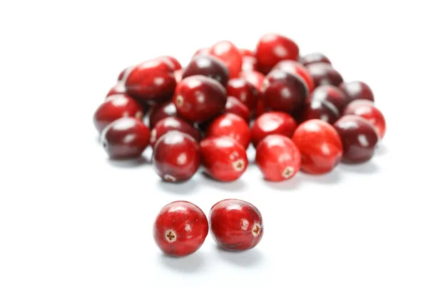 Rood cranberry fruit — Stockfoto