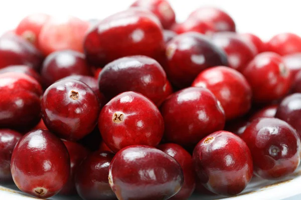 Rode Verse Rauwe Cranberry Produceren Bij Canada — Stockfoto