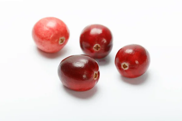 Rood cranberry fruit — Stockfoto