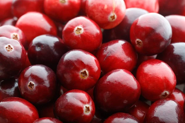 Fruta roja de arándano — Foto de Stock