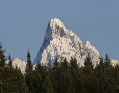 Chilliwack Bc Kanada 'da White Mount Slesse zirvesi