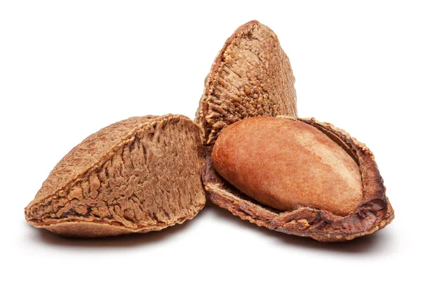 Braziliaanse noten geïsoleerd op wit. — Stockfoto